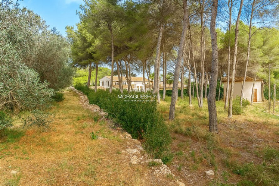 Land - Jávea — 5/7