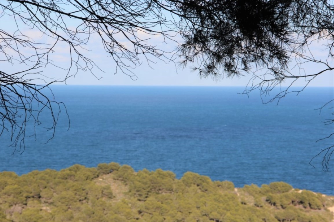 4 Bedrooms - Jávea — 2/13