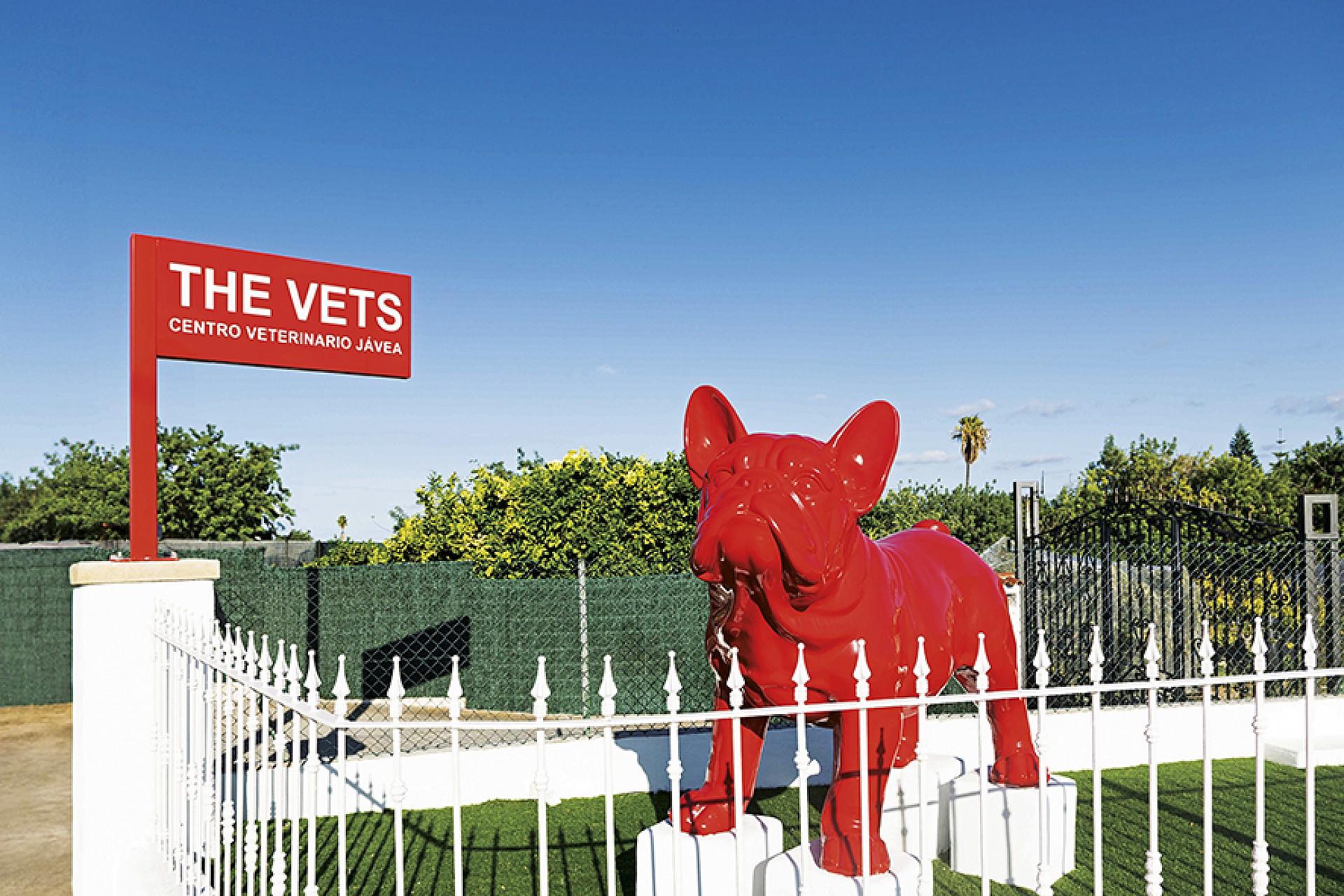 The Vets