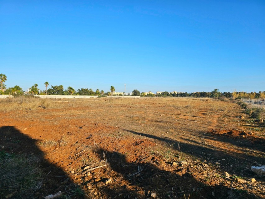 0 Dormitorios - Dénia — 2/2