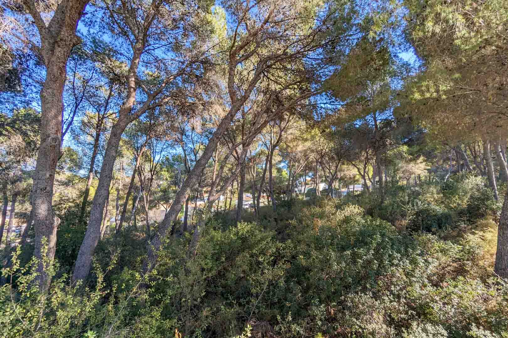 6 Bedrooms - Moraira — 6/18