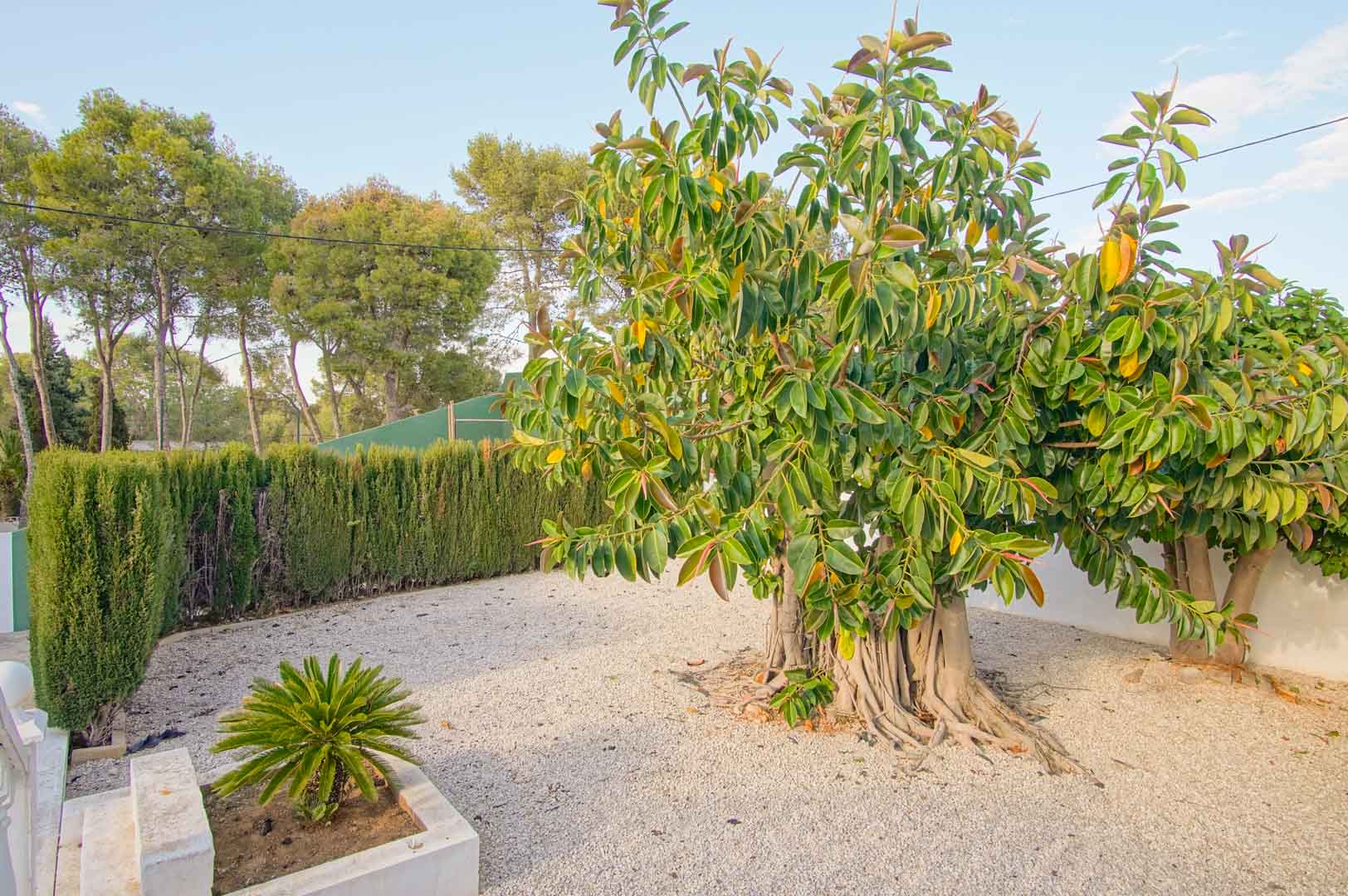 6 Bedrooms - Dénia — 45/50