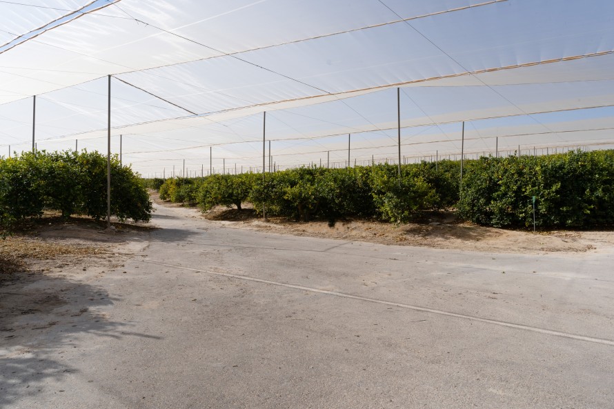 15 Dormitorios - Torrevieja — 38/40