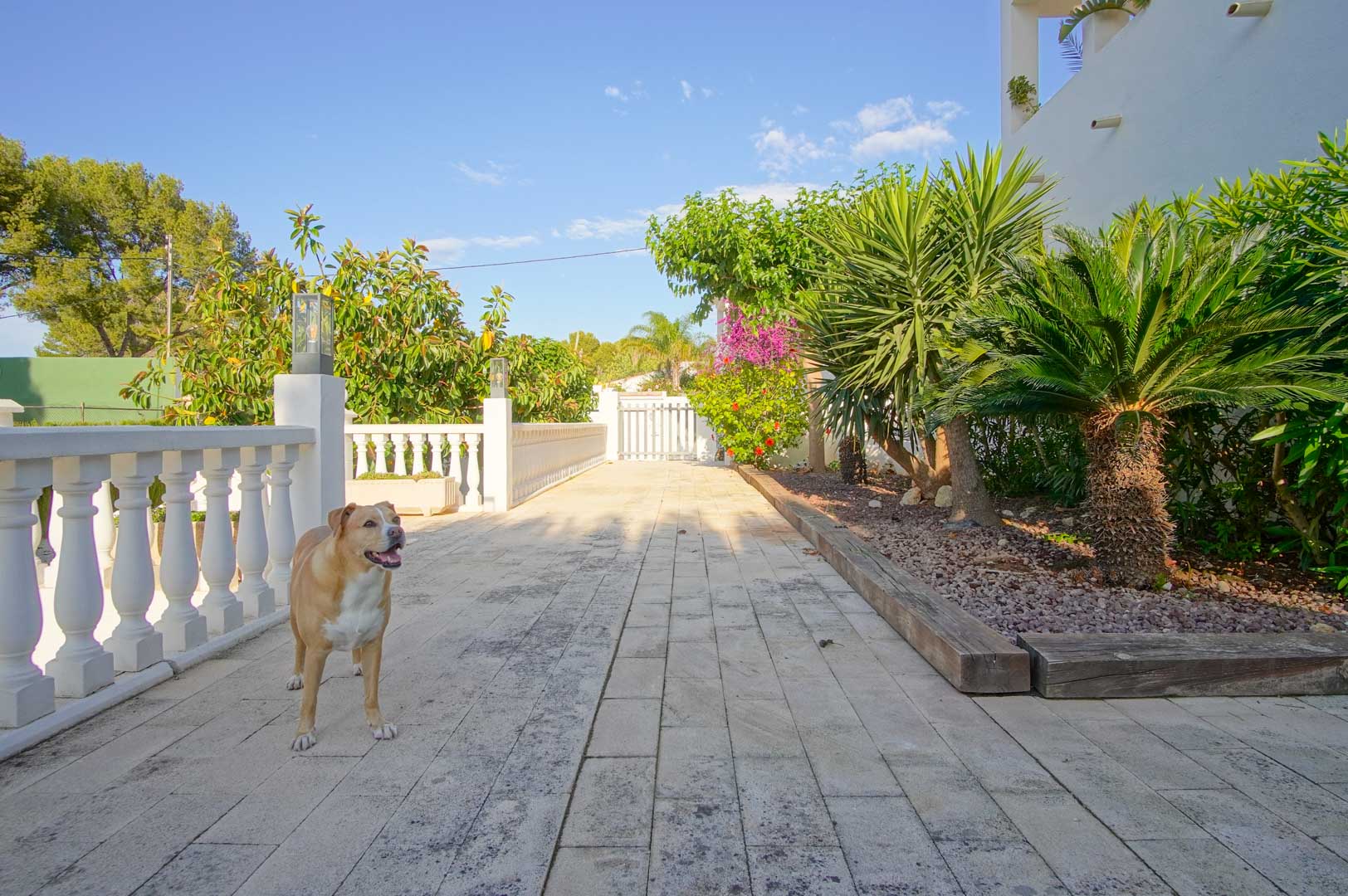 6 Bedrooms - Dénia — 34/50