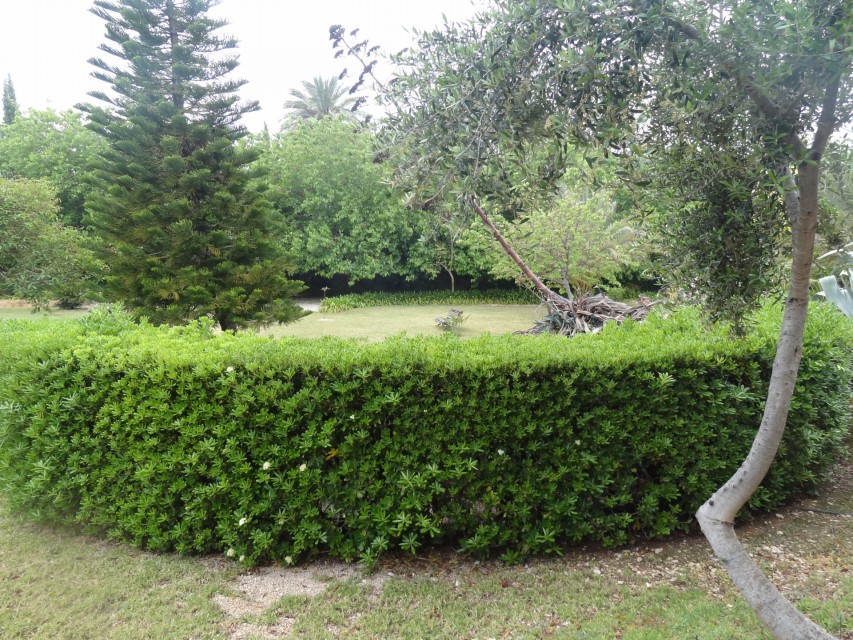 7 Bedrooms - — 18/29