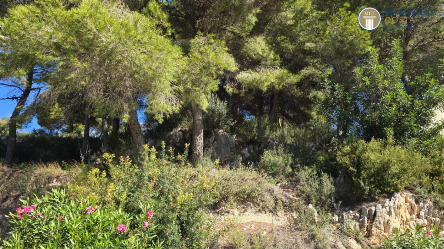 0 Bedrooms - Teulada — 6/14