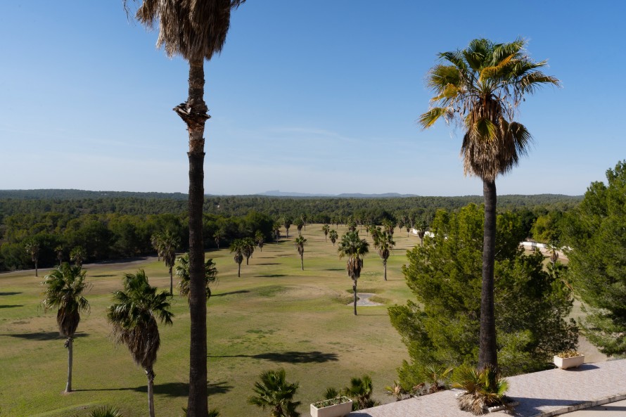 15 Dormitorios - Torrevieja — 10/40