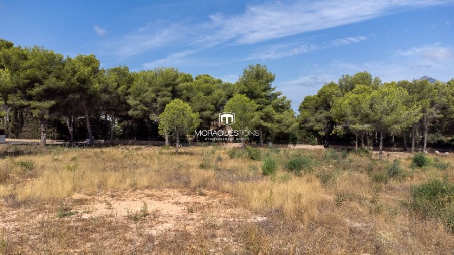 Land - Jávea — 8/15