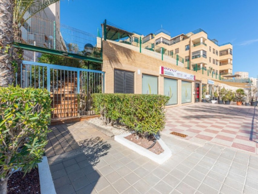 3 Chambres - El Campello — 27/37