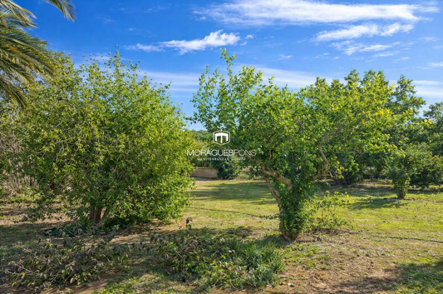 4 Bedrooms - Jávea — 48/50