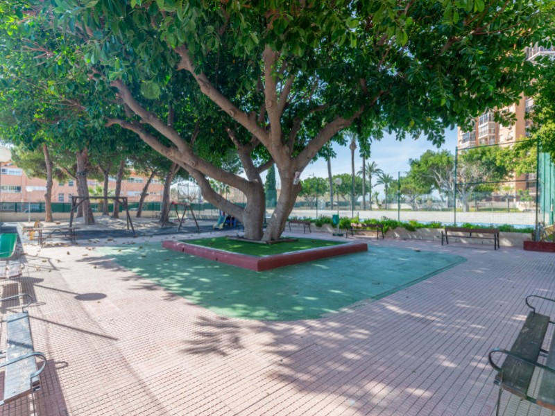 3 Bedrooms - El Campello — 29/38