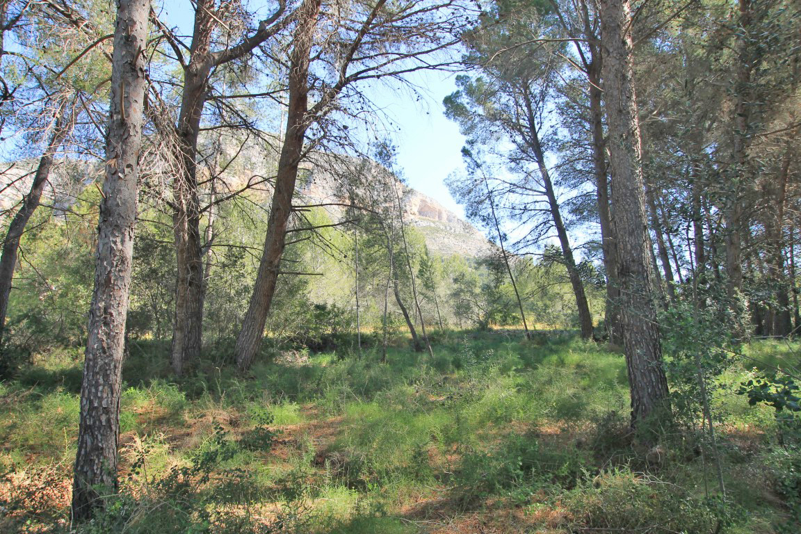 0 Bedrooms - Jávea — 3/4