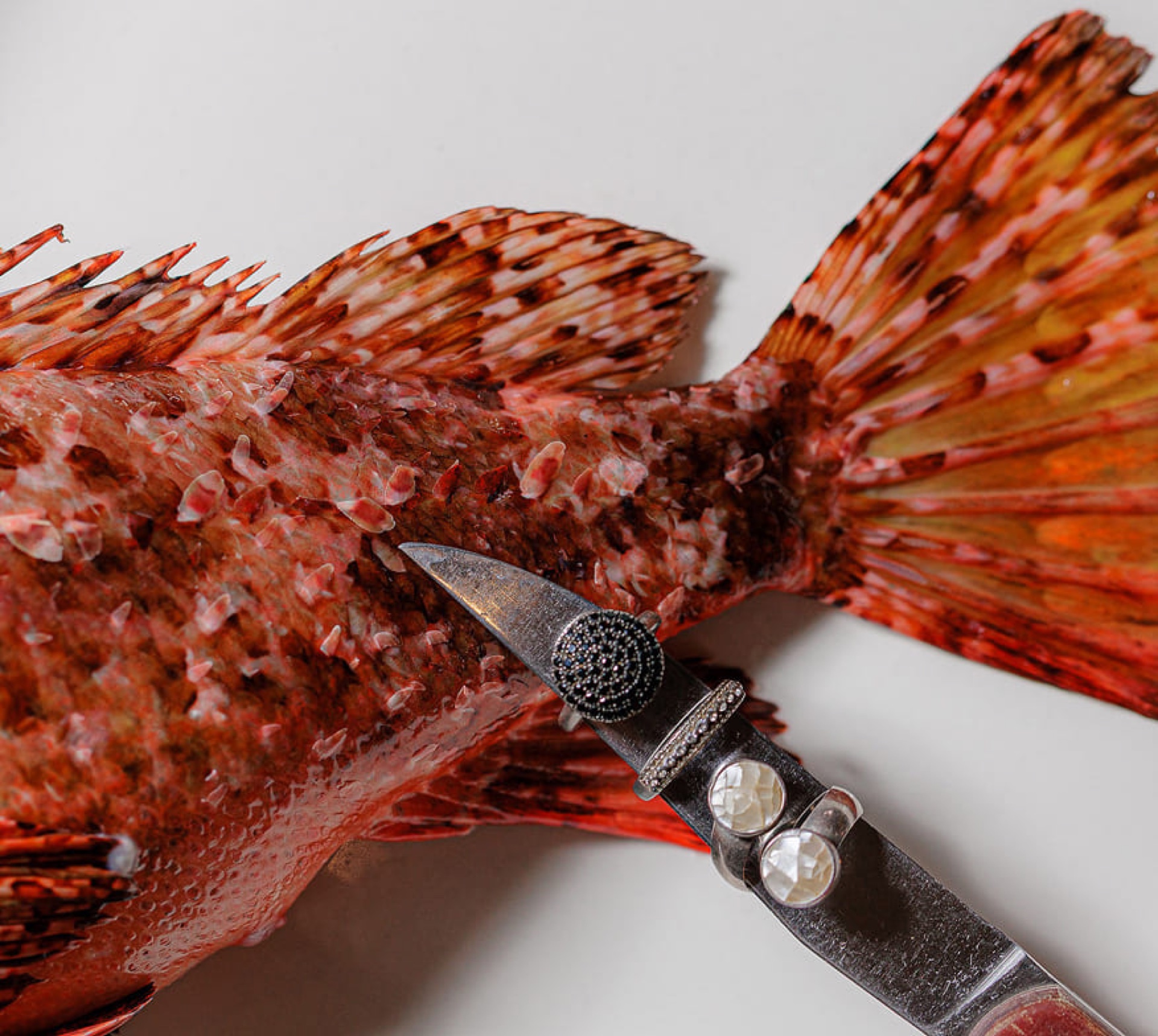 Atalaya