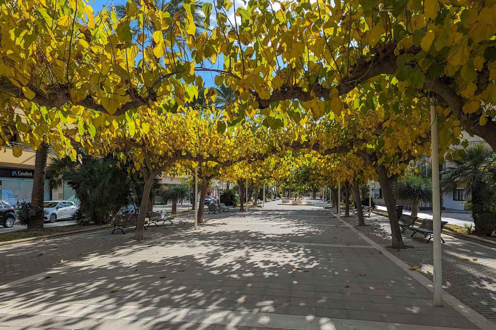 2 Bedrooms - Teulada — 25/27