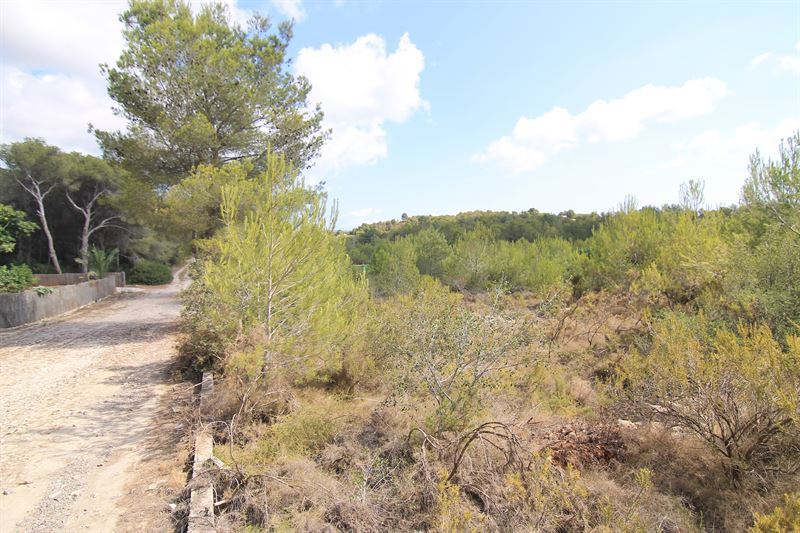 0 Chambres - Jávea - Xàbia — 3/4