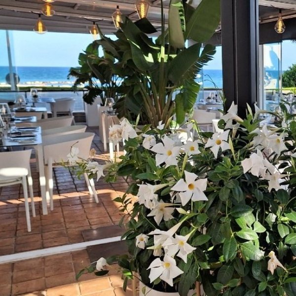 La Terraza by Helen