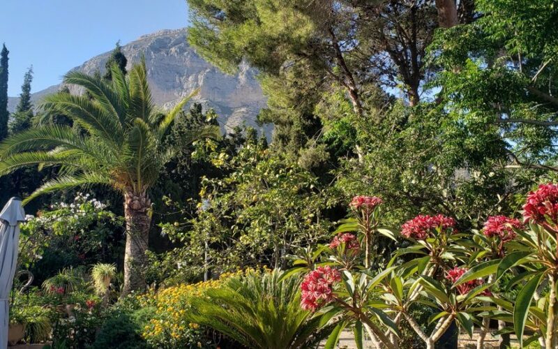 3 Bedrooms - Jávea — 20/21
