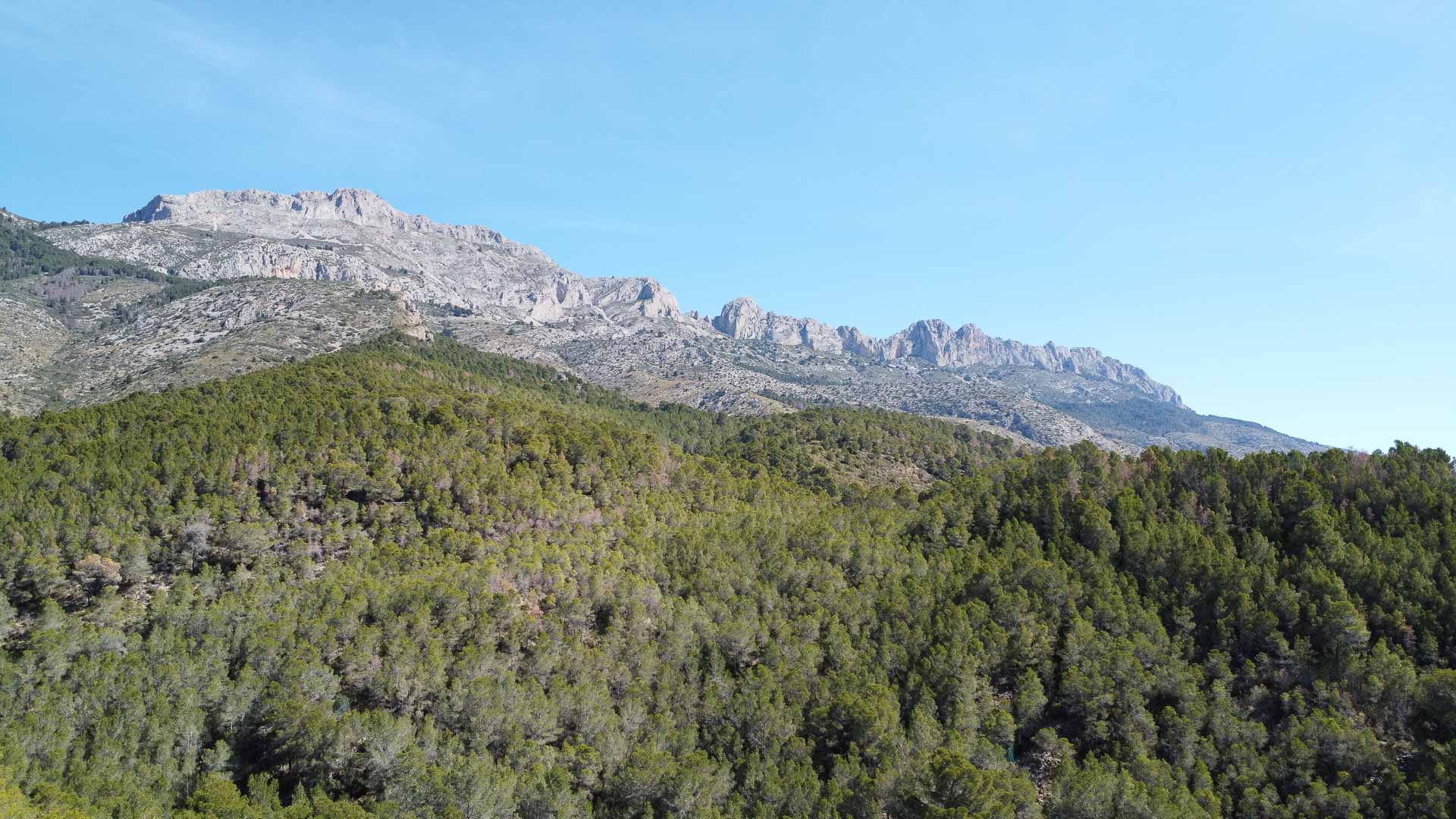 3 Bedrooms - Altea — 41/46