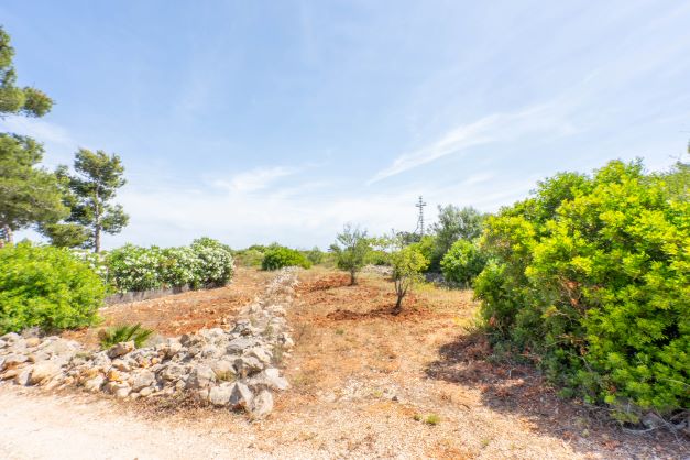 0 Bedrooms - Jávea — 8/11