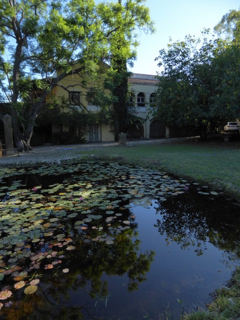 7 Bedrooms - — 14/29