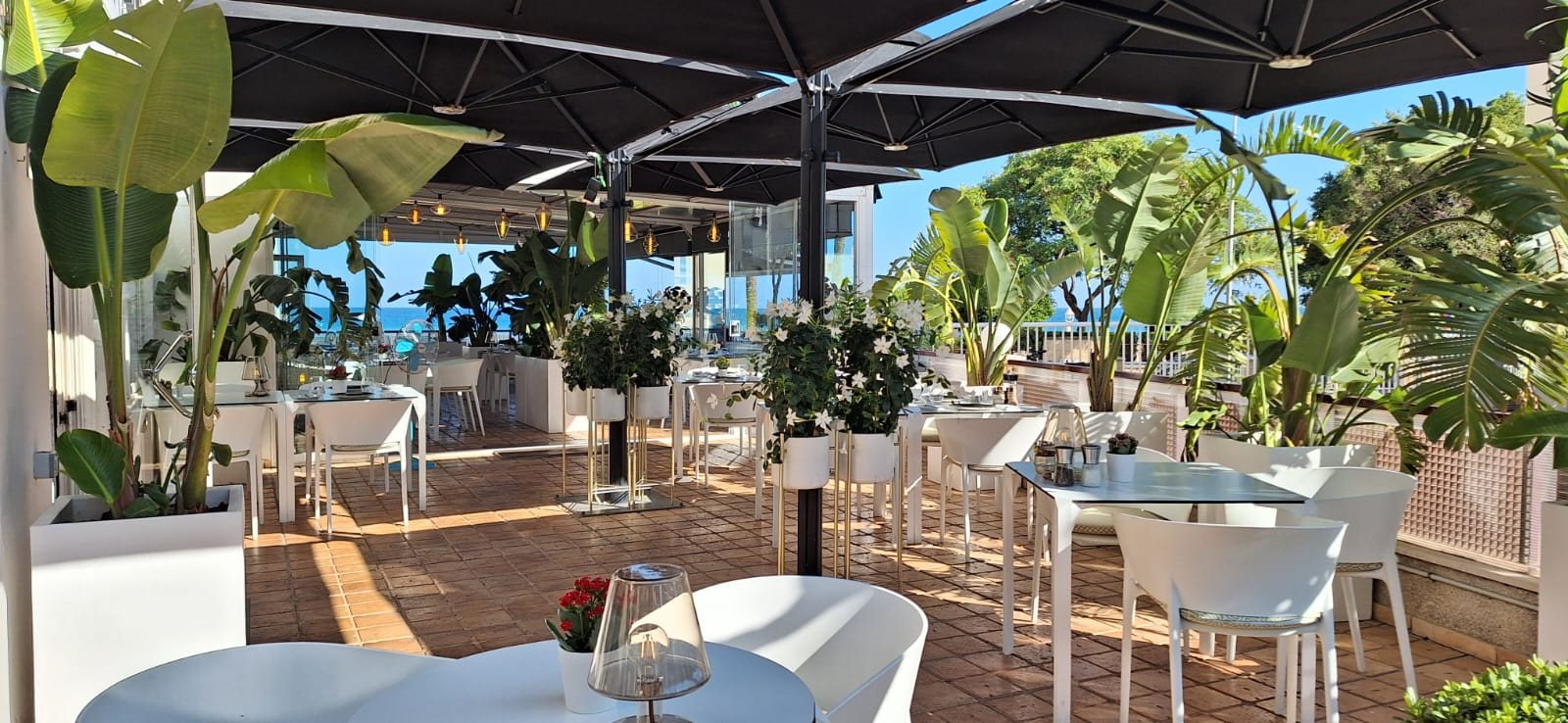 La Terraza by Helen