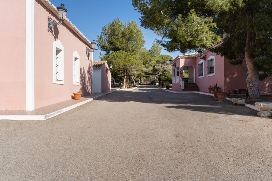 15 Dormitorios - Torrevieja — 28/40
