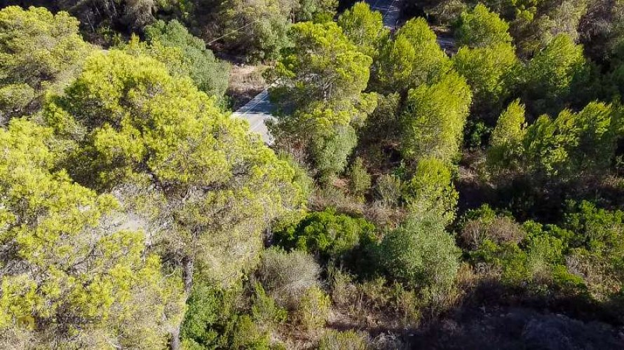 Land - Jávea — 3/13