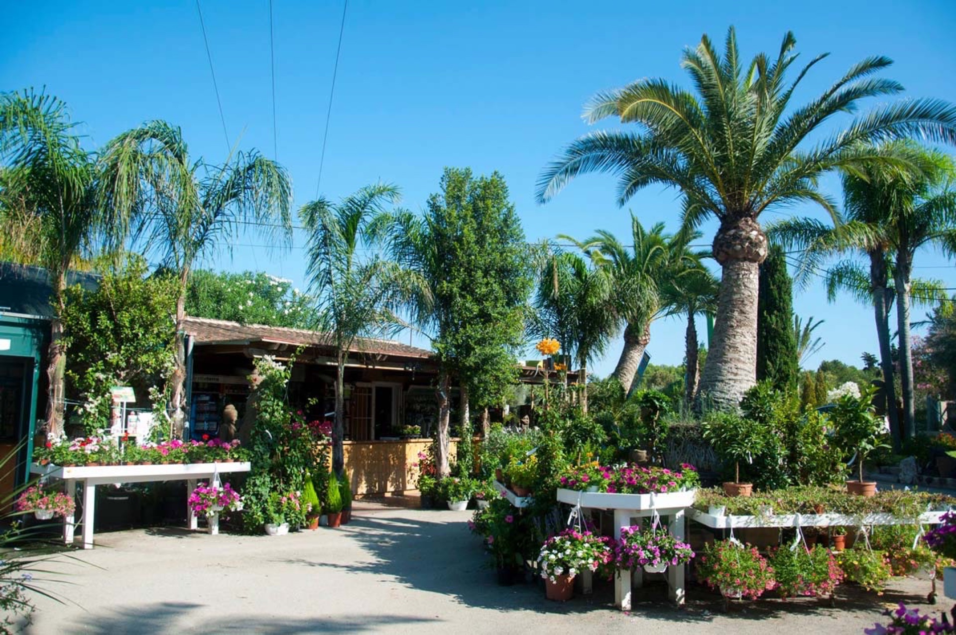 Toscal Garden Center