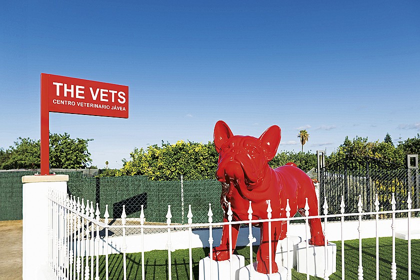 The Vets Jávea - Medicina veterinaria de vanguardia  en un entorno donde el bienestar es una forma de vida