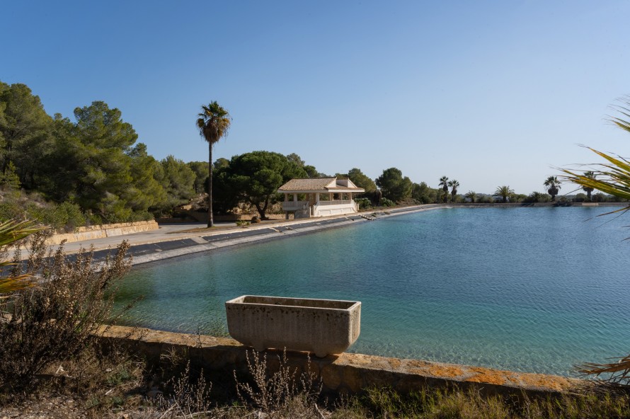 15 Dormitorios - Torrevieja — 22/40