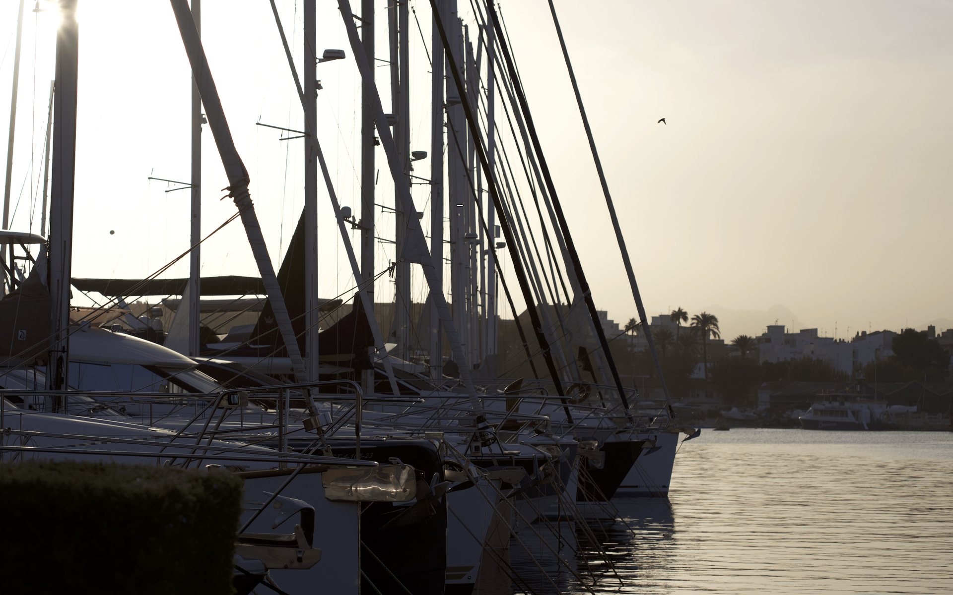 Sailing boats moored in the Marina de Dénia against the light, with the town in the background