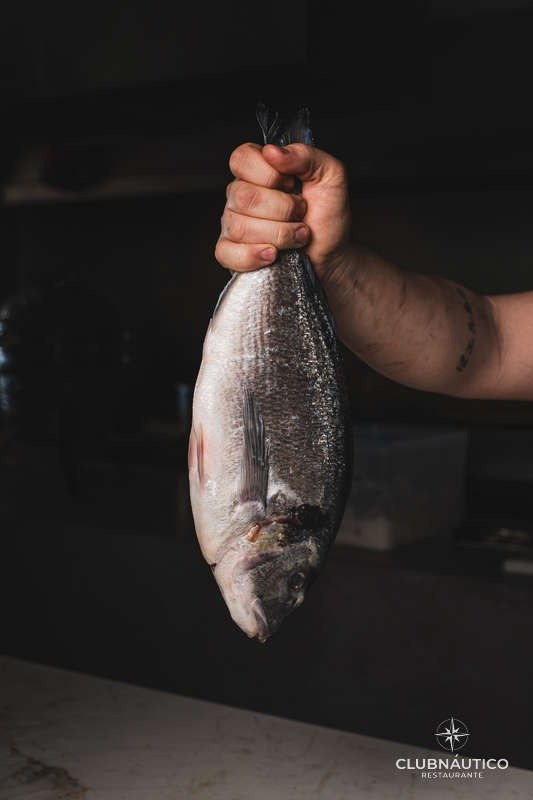 Poisson de la criée de Villajoyosa