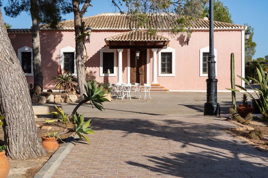 15 Dormitorios - Torrevieja — 24/40