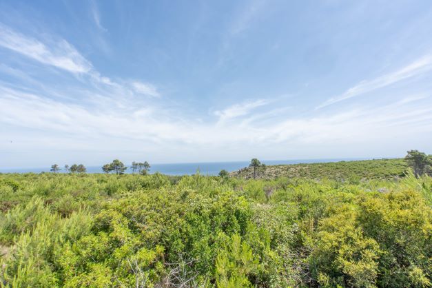 0 Bedrooms - Jávea — 10/11