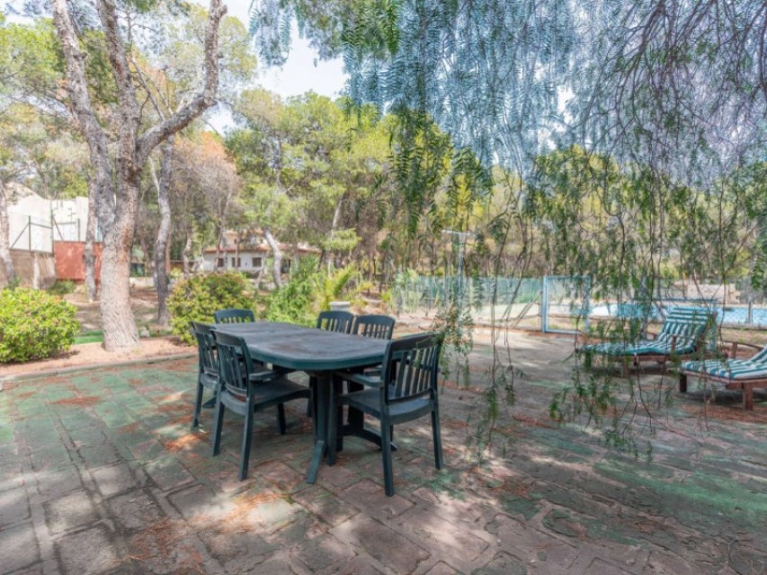 5 Chambres - Alicante / Alacant — 46/53