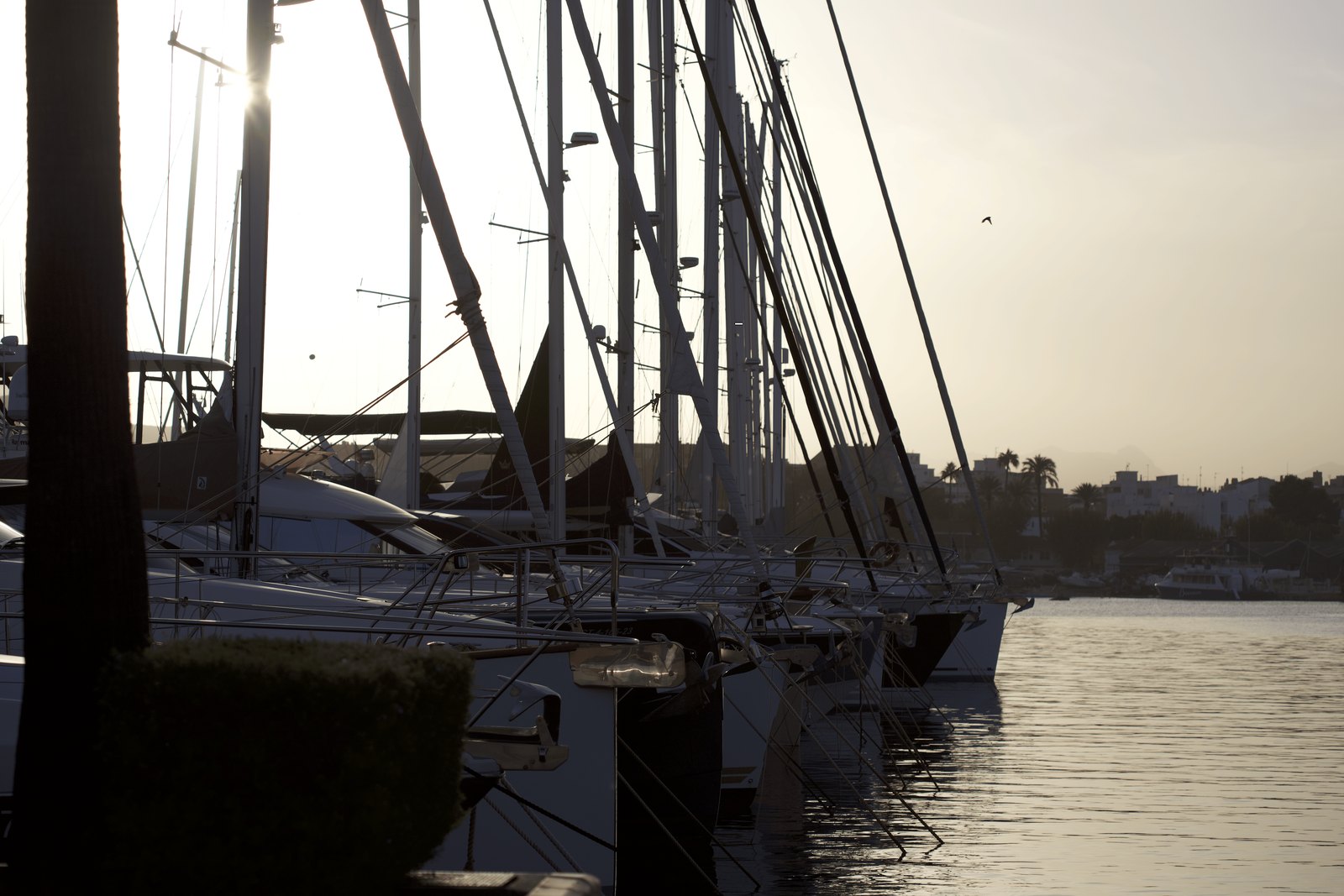Die Marina de Dénia