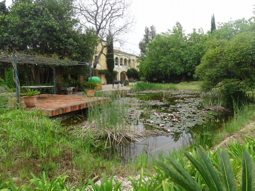 7 Bedrooms - — 13/29