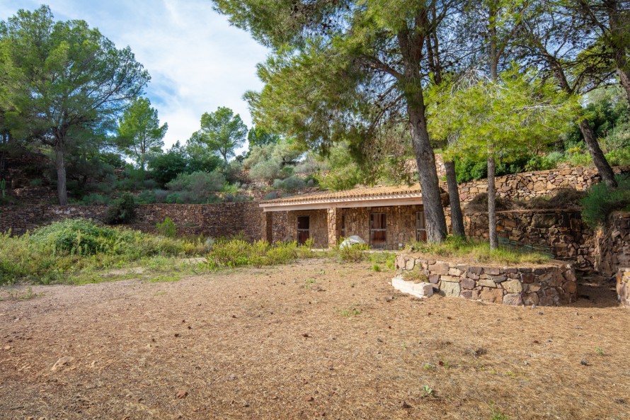 12 Bedrooms - — 15/50