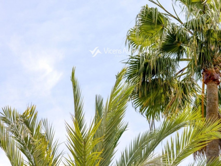5 Bedrooms - Javea/Xabia — 35/39