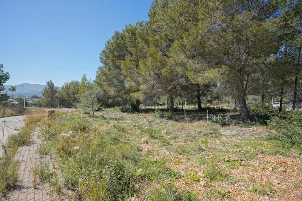 0 Bedrooms - Jávea — 3/5