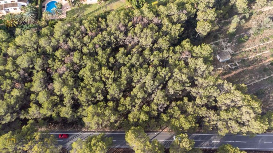 Land - Jávea — 2/6
