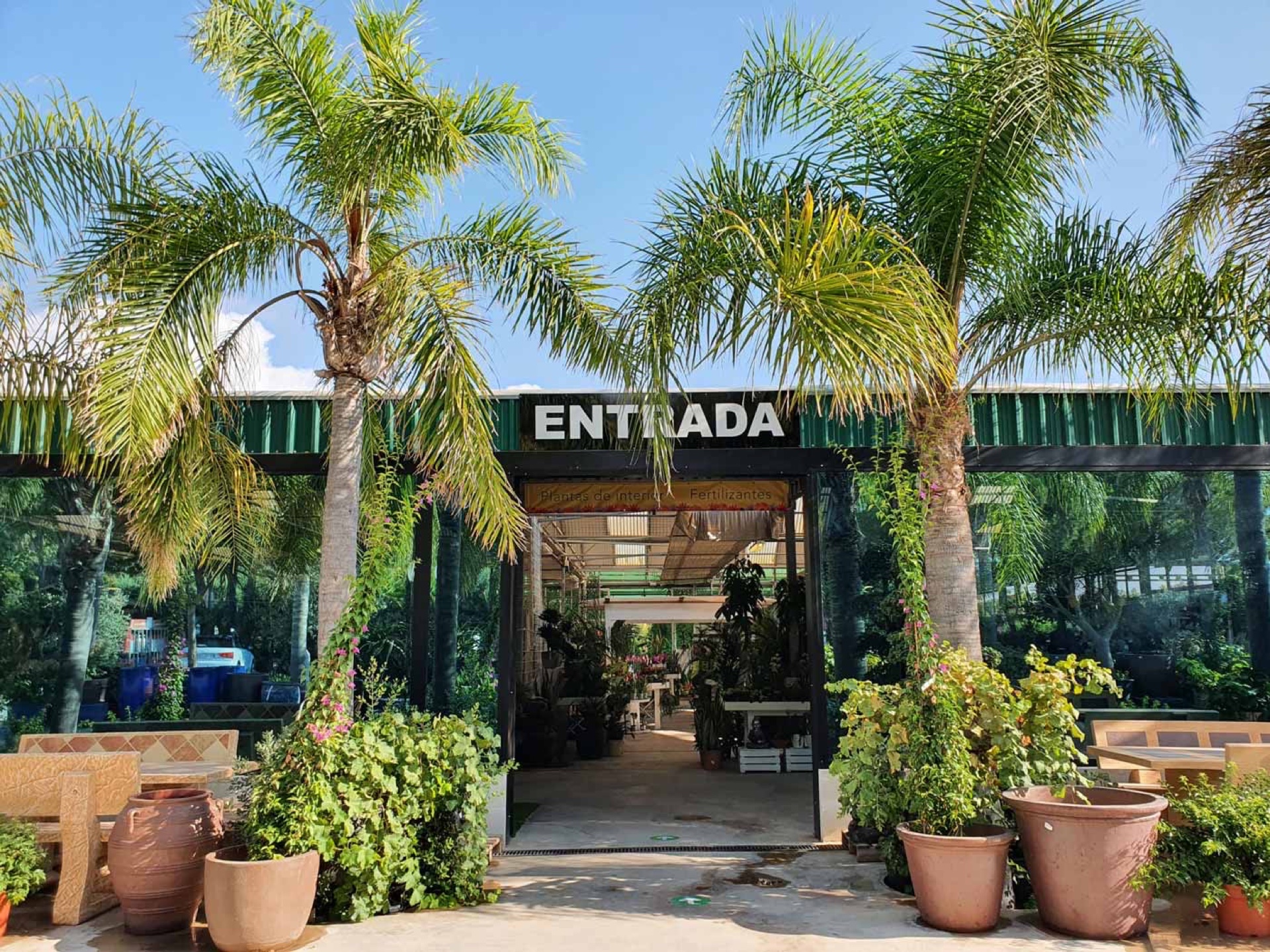 Eingang des Gartencenters zwischen Palmen und Pflanzkübeln