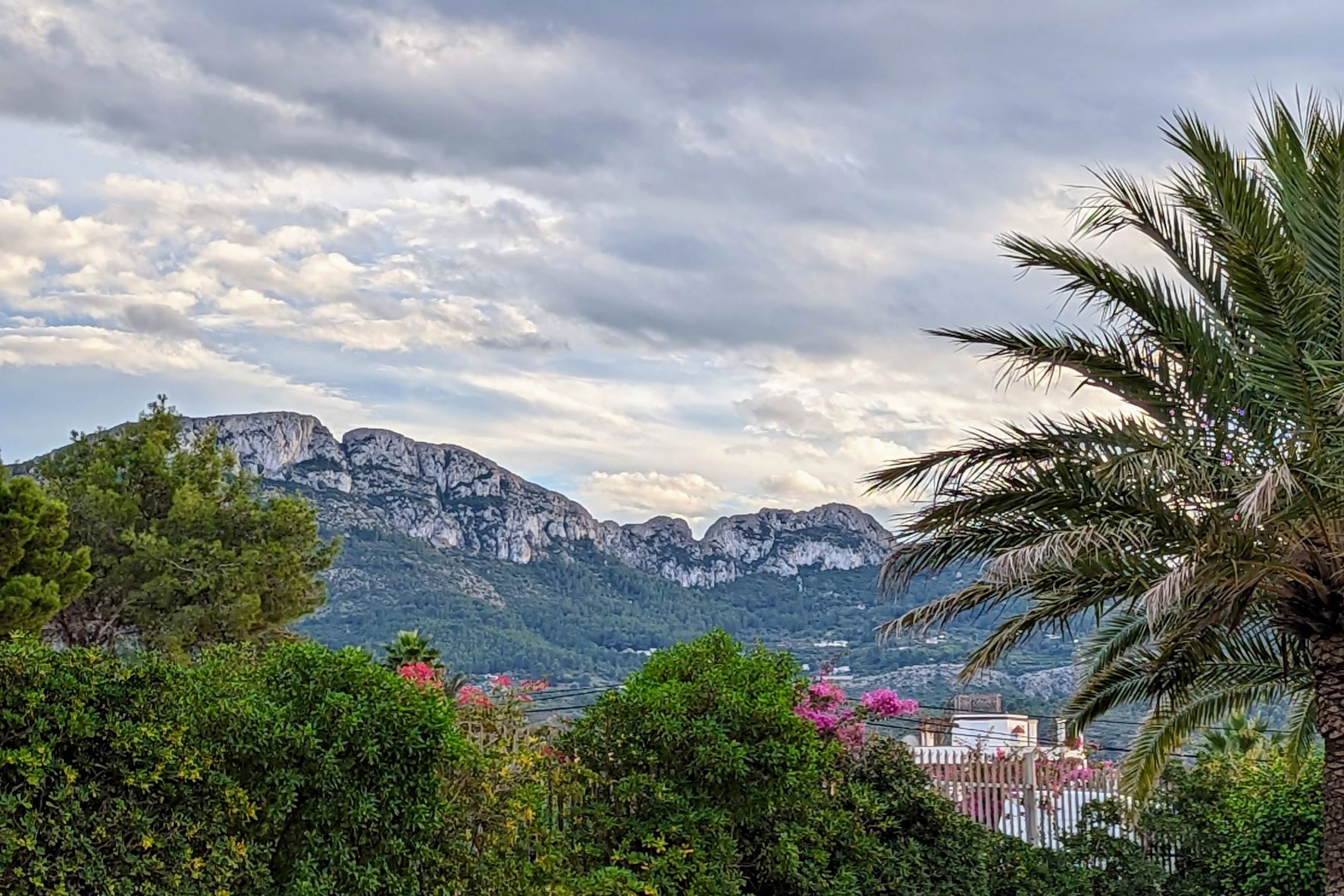 0 Bedrooms - Dénia — 4/7