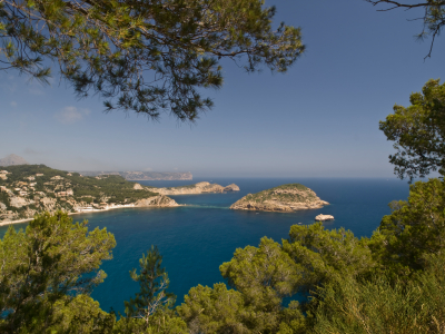 0 Bedrooms - Jávea — 12/15