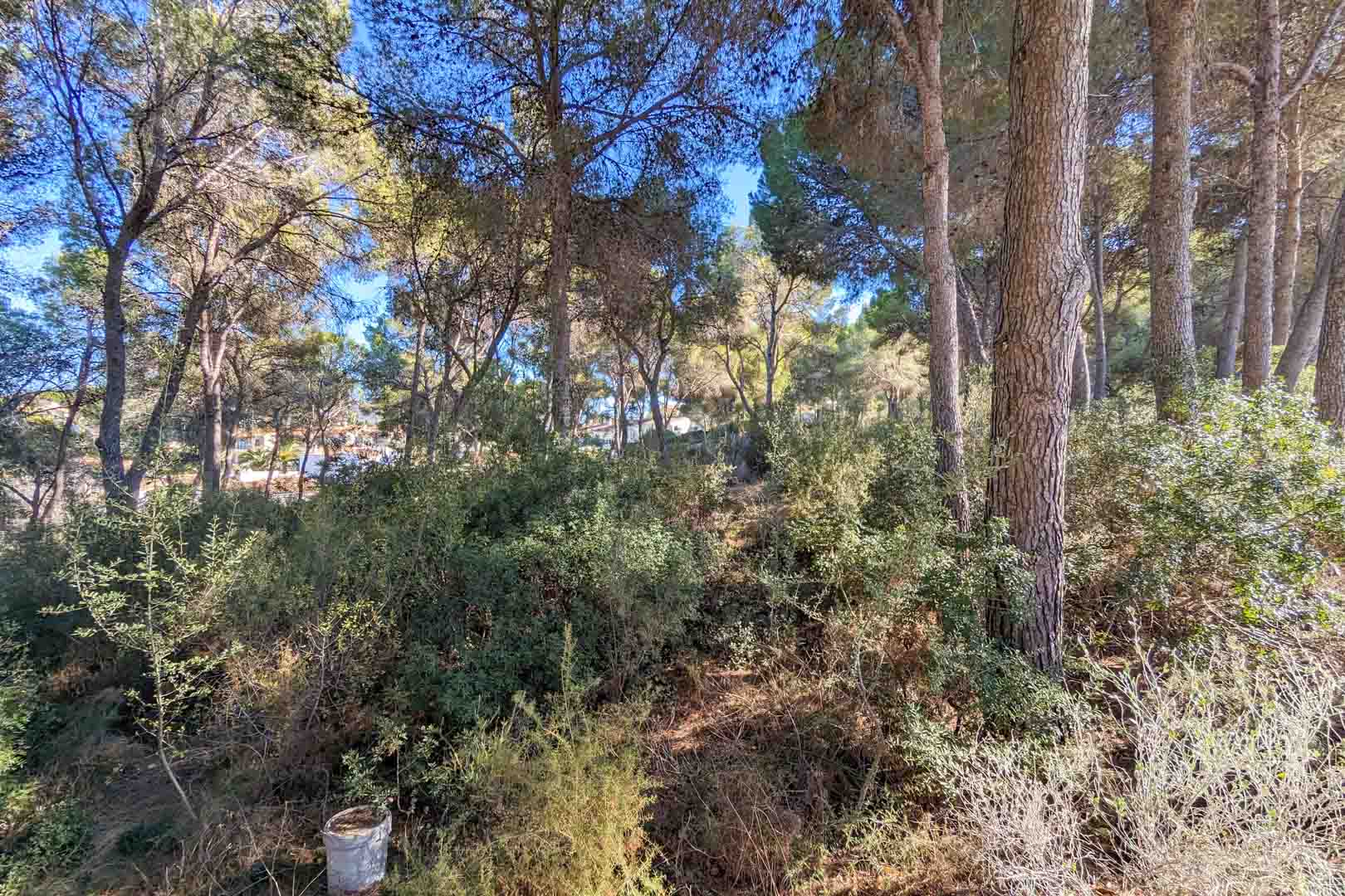 6 Bedrooms - Moraira — 7/18