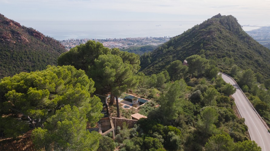 12 Bedrooms - — 23/50