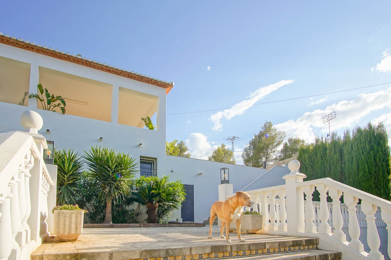 6 Bedrooms - Dénia — 37/50