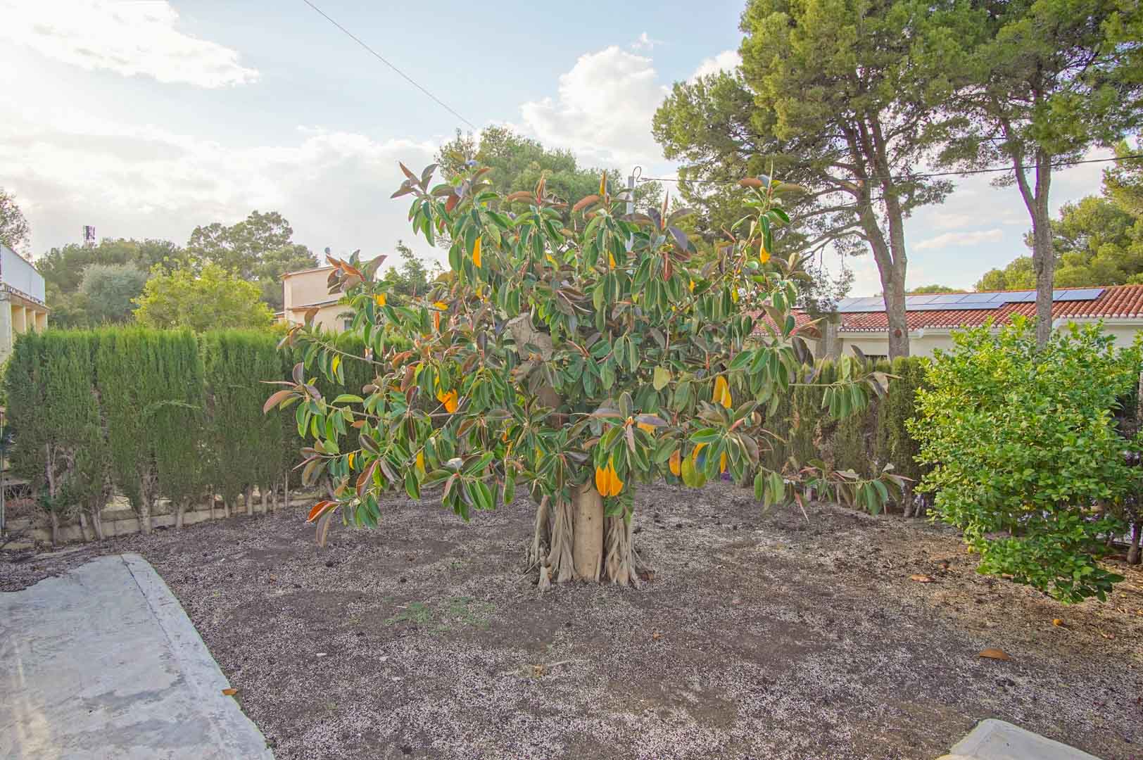 6 Bedrooms - Dénia — 44/50