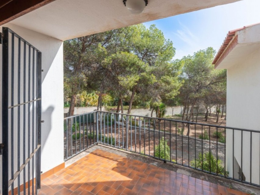 5 Chambres - Alicante / Alacant — 43/53