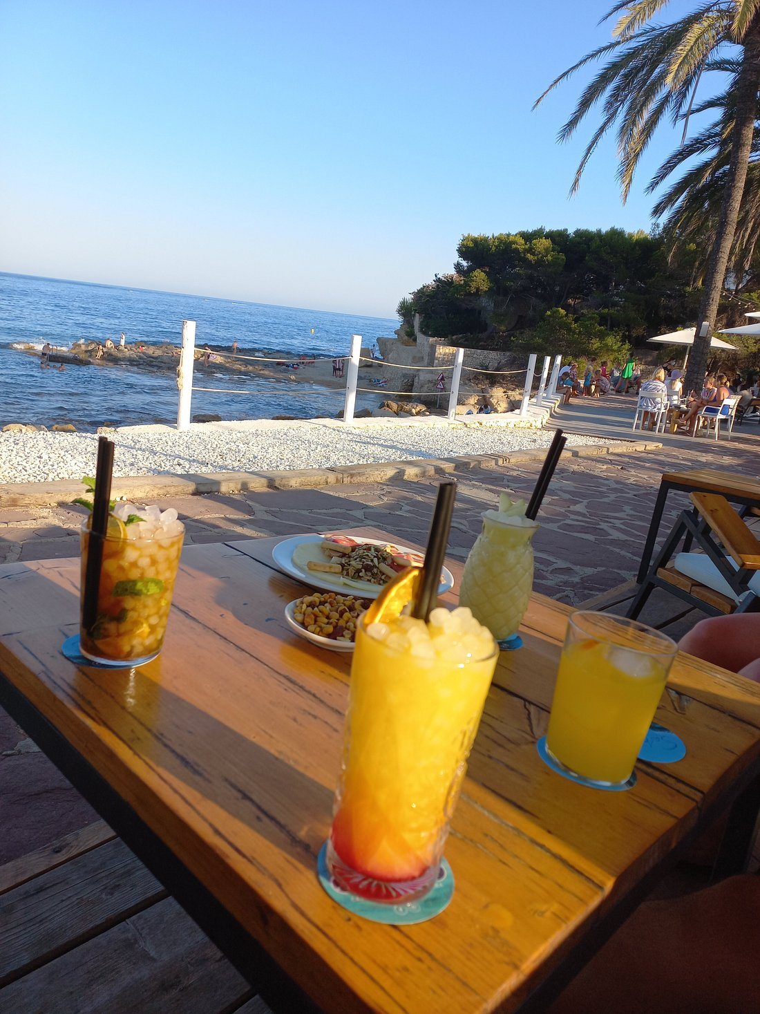 Algas l'Andragó